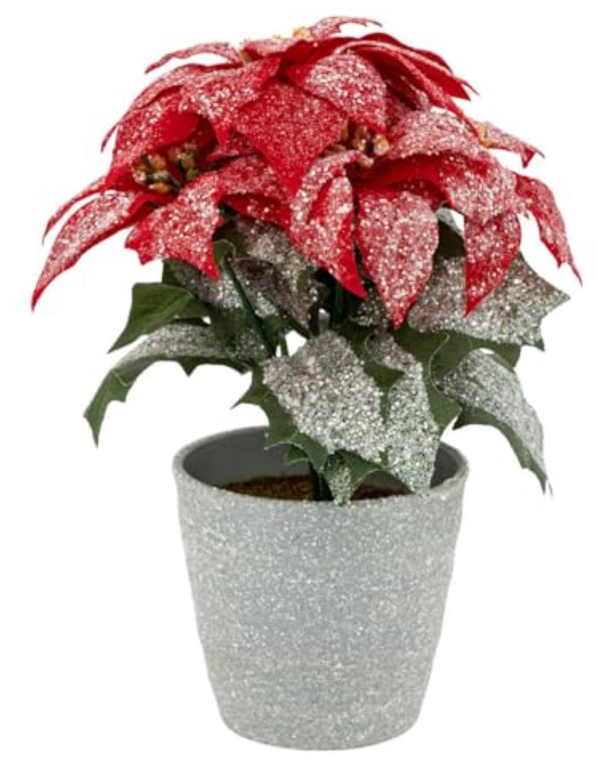 Branche Poinsettia Paillettes Pot H 22 cm