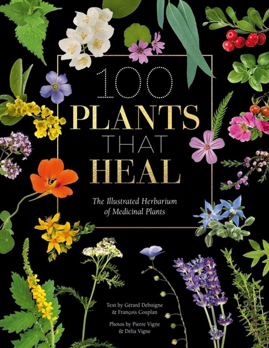 Boekomslag '100 Plants That Heal' met kleurrijke bloemen en bladeren op een zwarte achtergrond.