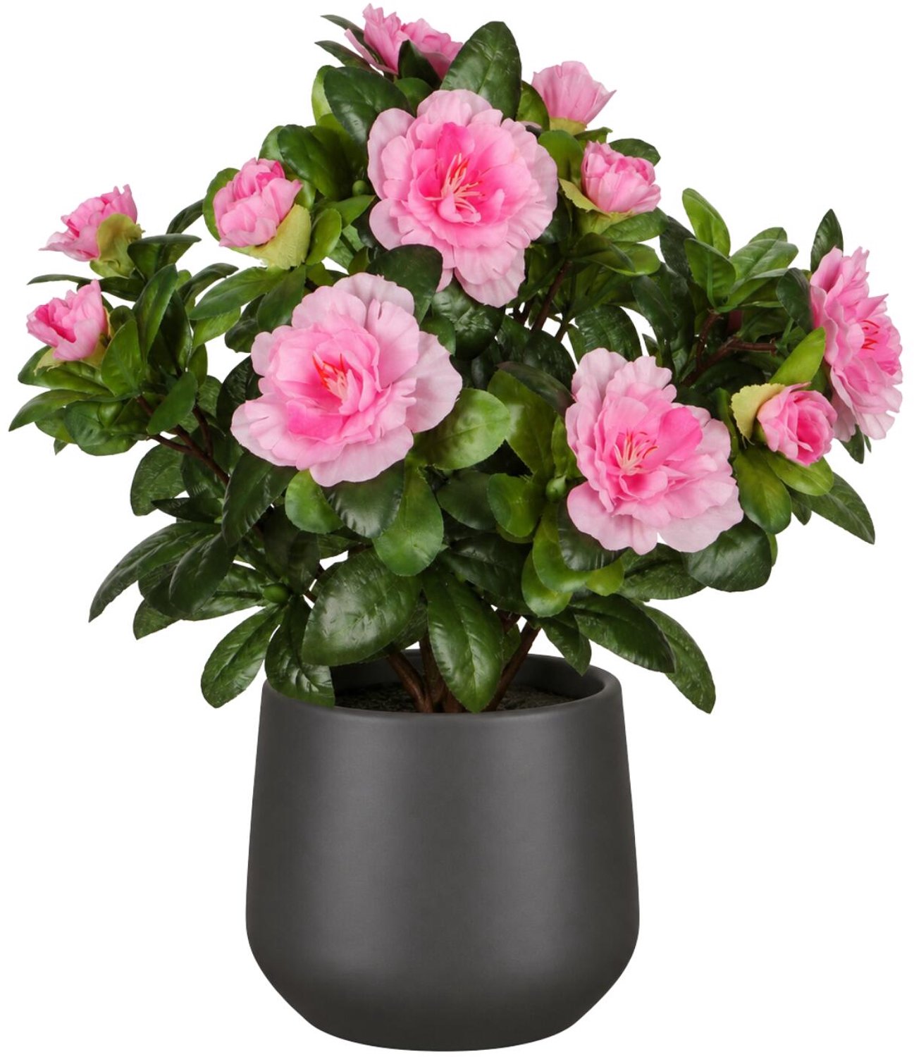 Mica Decorations Kunstplant - Azalea roze - H27 cm - in antraciet bloempot - keramiek - complete set van pot en plant - decoratie stuk