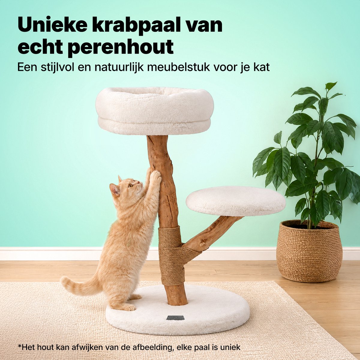 Jake Jake and Jacky Krabpaal - afbeelding 2