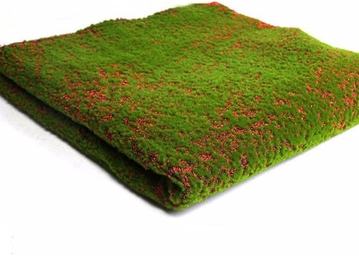 Kunstgrastapijt - Decoratief buitentapijt - Voor tuin en huis - Weelderige kunstplantenmat - 100x100 cm - Groen