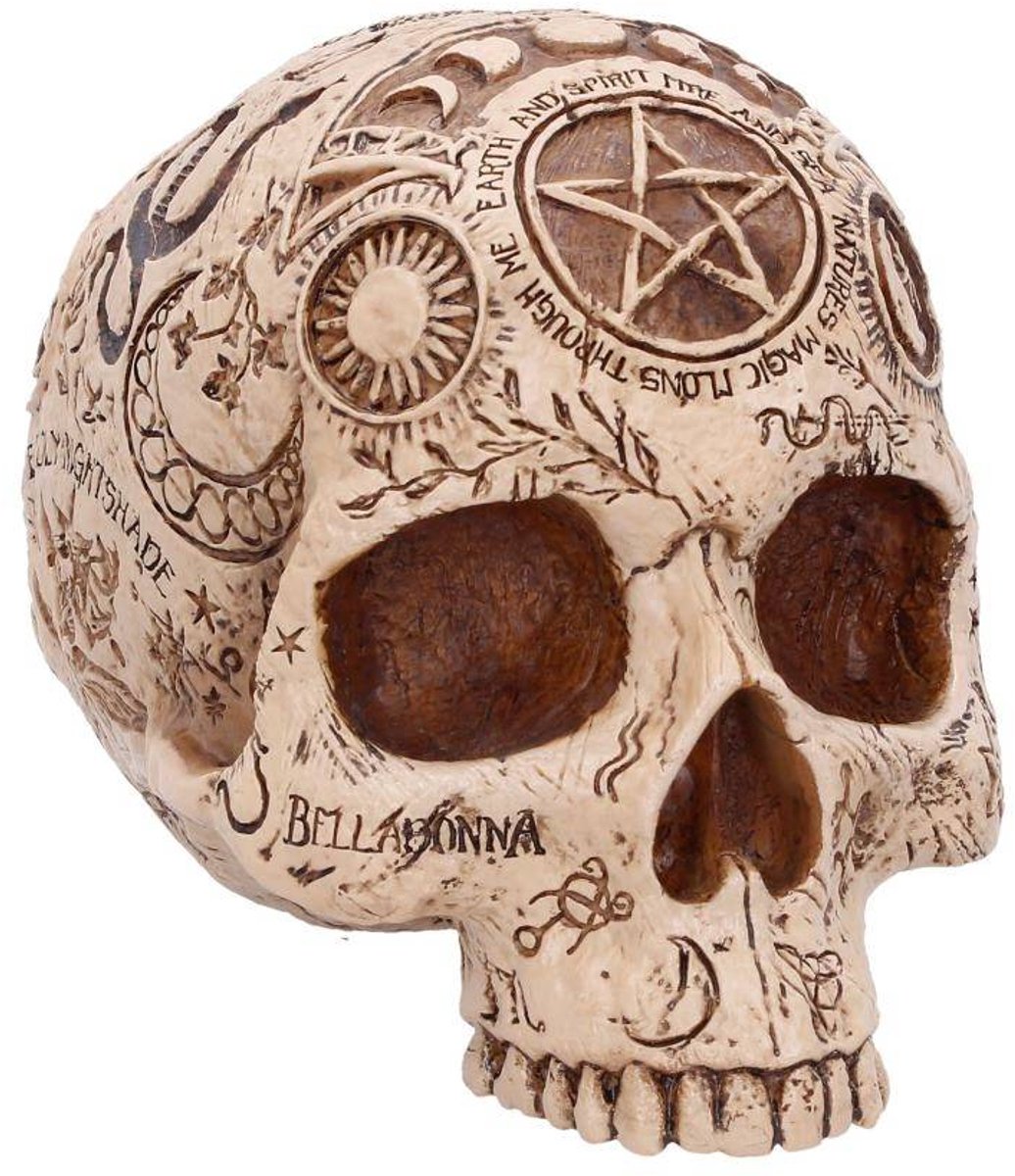 Nemesis Now - Apothecary Beeld/figuur - Schedel - Creme