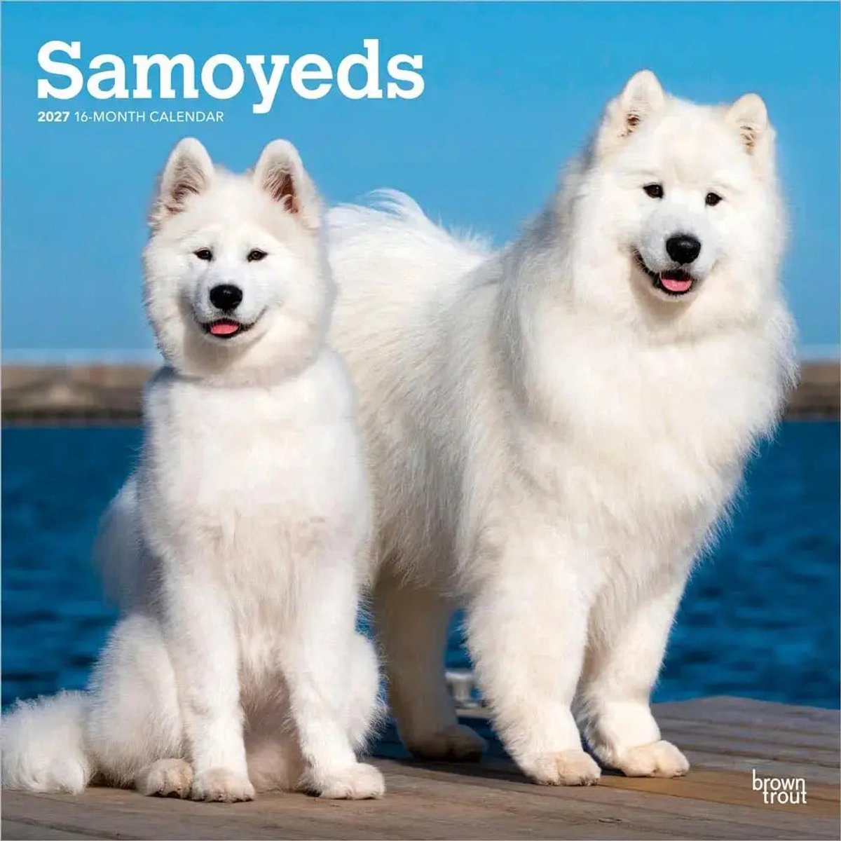 Samojeed Kalender 2027