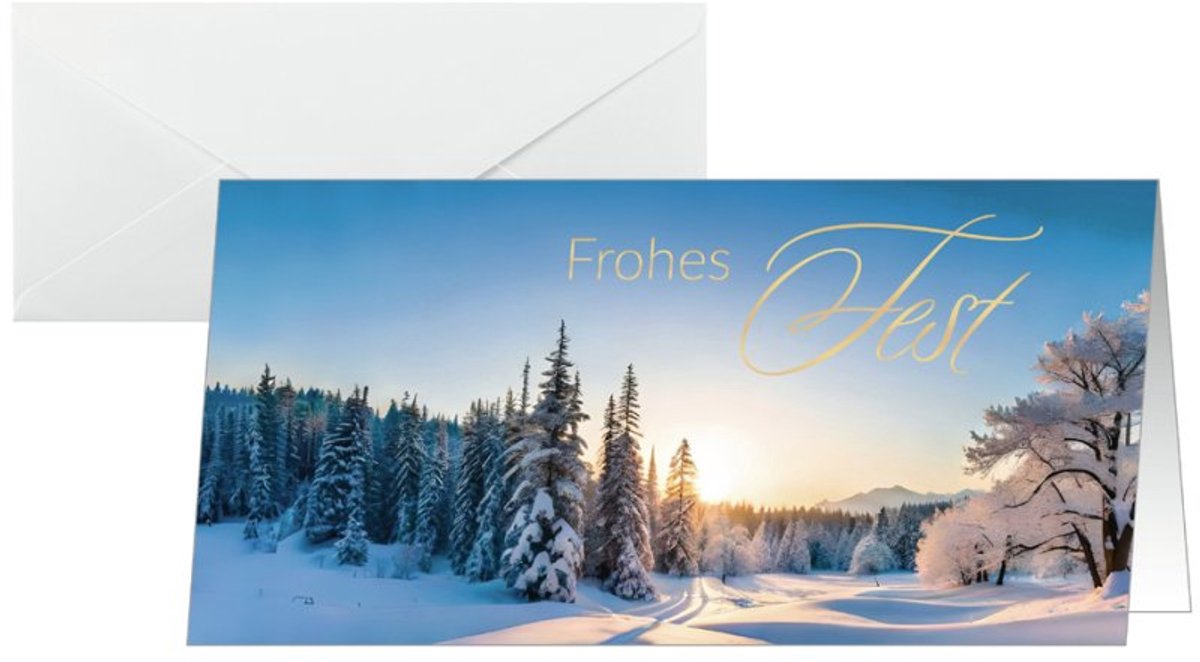 Sigel kerstkaart Winter Wonderland, DIN lang, 25 kaarten + enveloppen