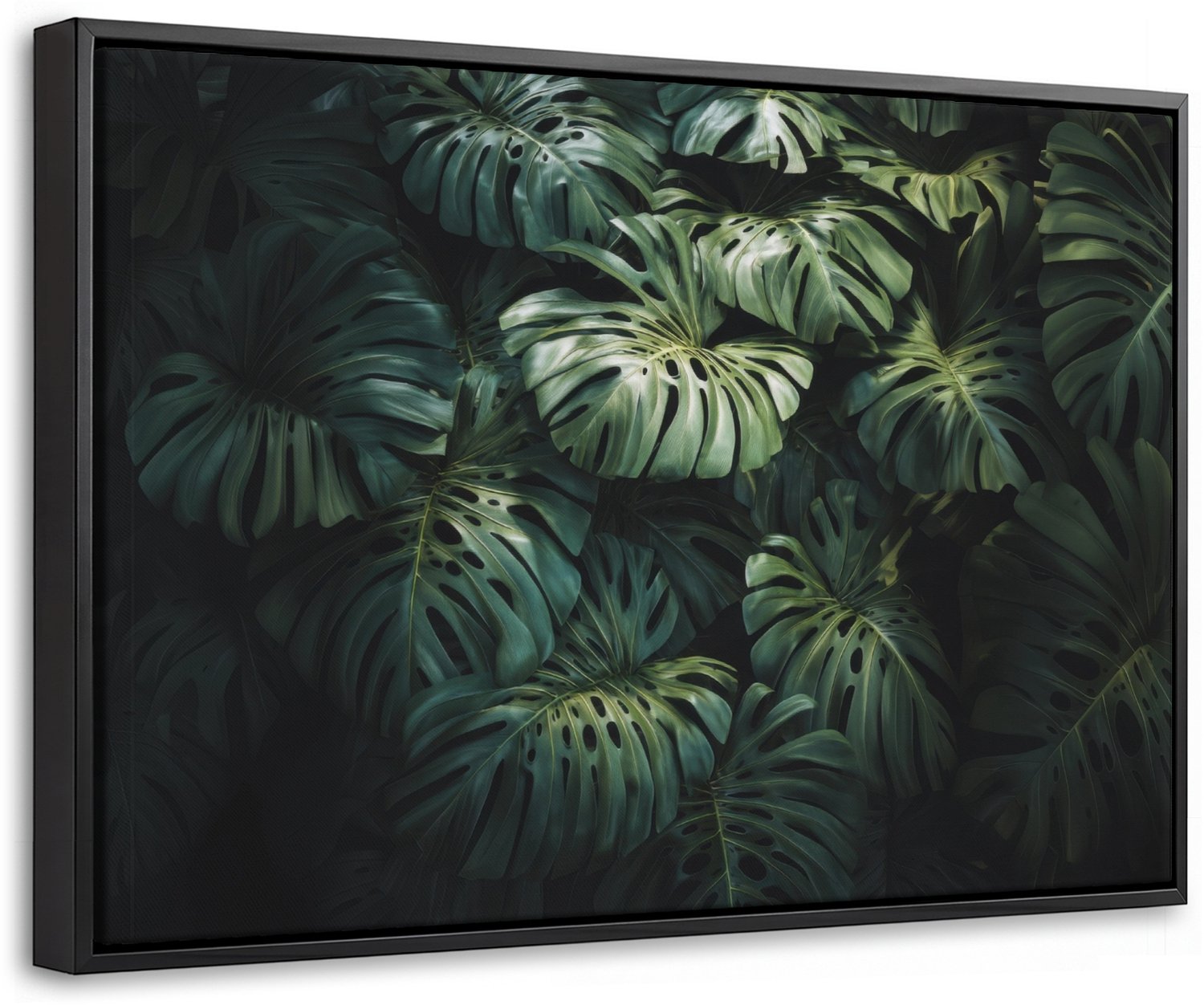 Canvas Schilderij met Baklijst 60x40cm - Plant - Monstera - Lichtinval - Muurdecoratie woonkamer - Slaapkamer decoratie - Kamer accessoires - Schilderijen op canvas met lijst