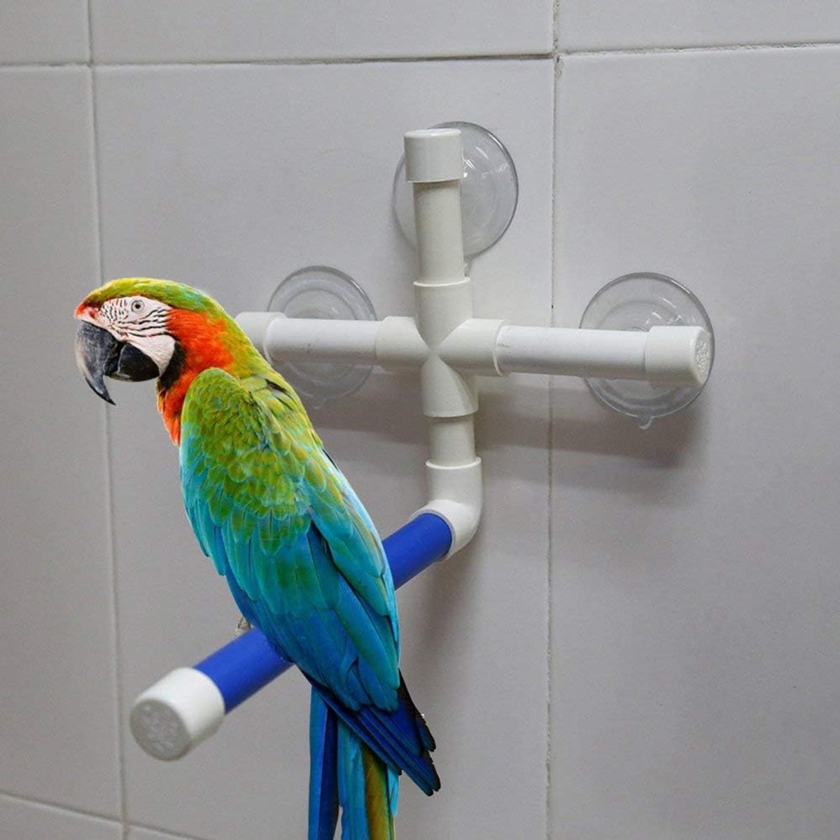 Vogelzitstokken Opvouwbaar en Draagbaar Douchebadstandaard Speelgoed voor Papegaaien, Parkieten en Vogels van Vergelijkbare Grootte Duurzaam Plastic Wit en Blauw 22,1 Cm