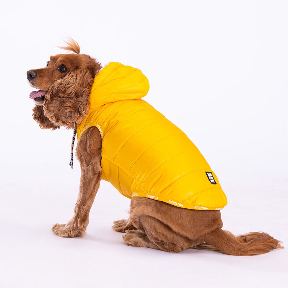 Pawstar Railway - Hondenbodywarmer - Geel - M