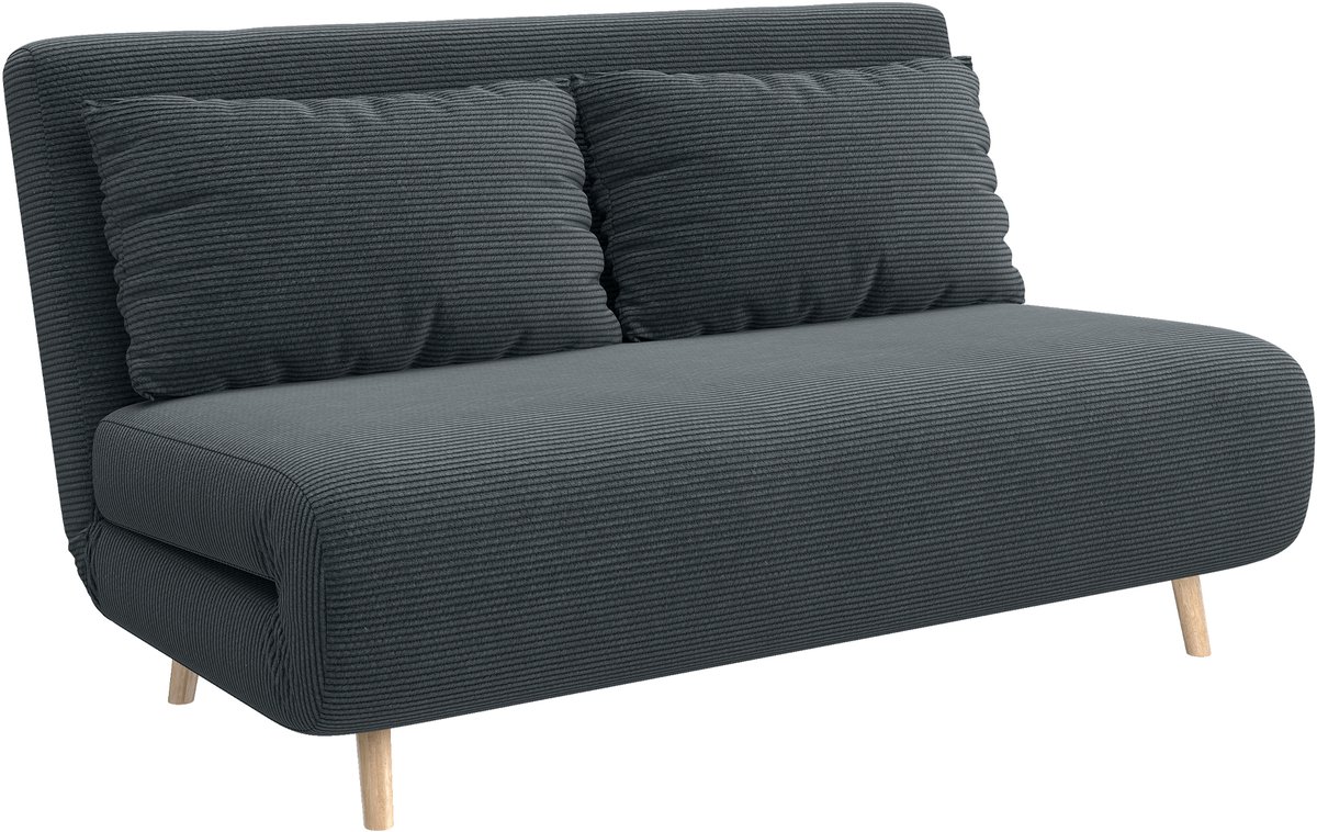 Homona Slaapbank - Verstelbaar met 3 standen - Inclusief 2 kussens - 141 x 90 x 81 cm - Donkergrijs