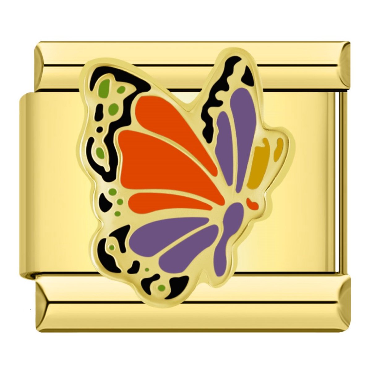 Fly Butterfly Fly