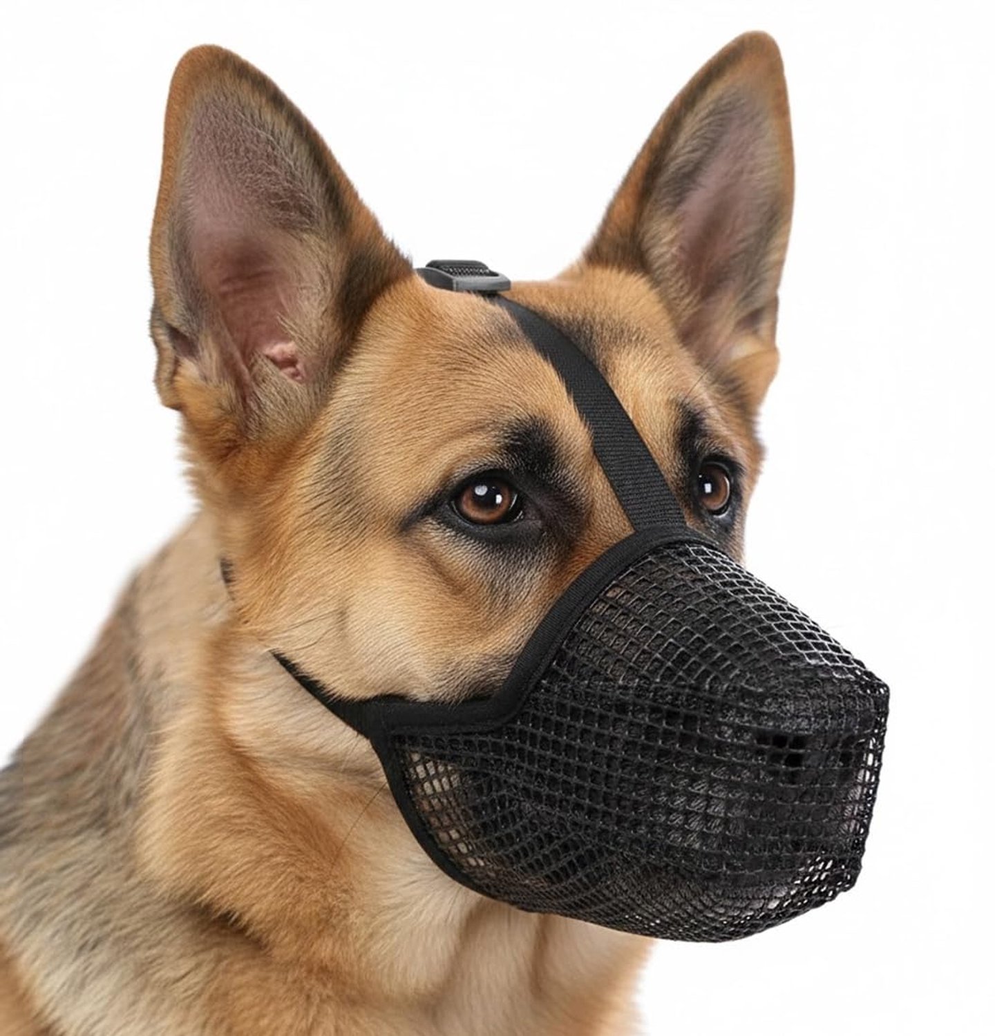 Muilkorf voor Middelgrote en Grote Honden