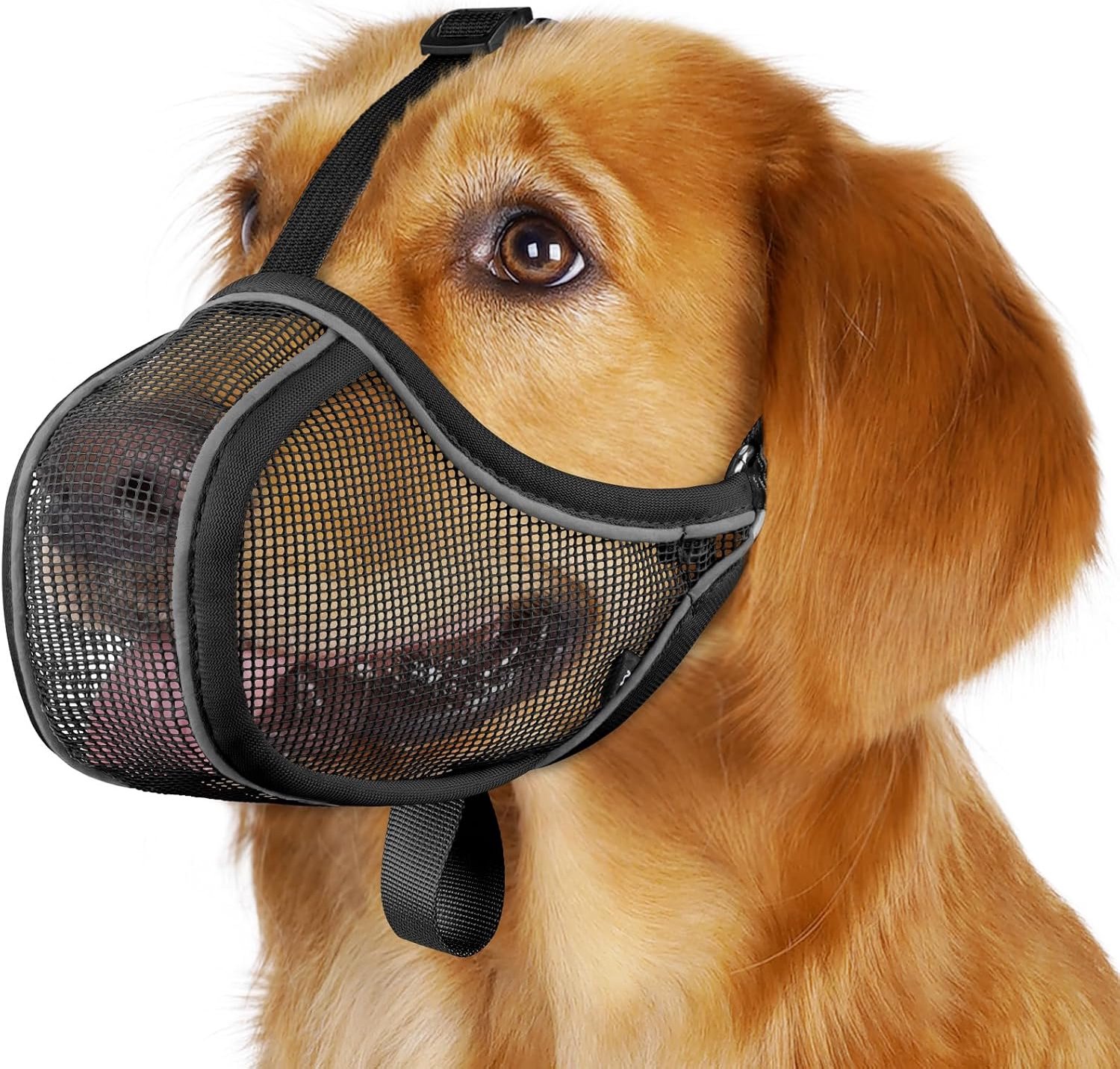 Muilkorf voor honden van netwerkstof - bescherming tegen bijten, kauwen en eten