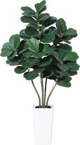 Kunstmatige Fiddle Leaf Fig Boom 150 cm – 5-Stammig Ontwerp met Zijden Bladeren – Witte Hoge Pot – LevensEcht Groen voor Woonkamer, Hal & Kantoor