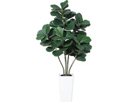 Kunstmatige Fiddle Leaf Fig Boom 150 cm – 5-Stammig Ontwerp met Zijden Bladeren – Witte Hoge Pot – LevensEcht Groen voor Woonkamer, Hal & Kantoor