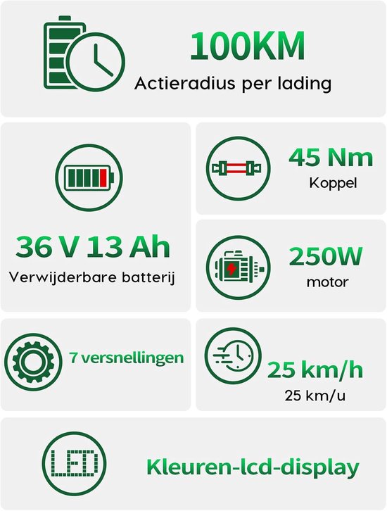 Runetic 26” Elektrische Fiets - Motor 250W - Actieradius 100km - 36V 13AH Verwijderbare Batterij - 25KM/H - Groente — afbeelding 2