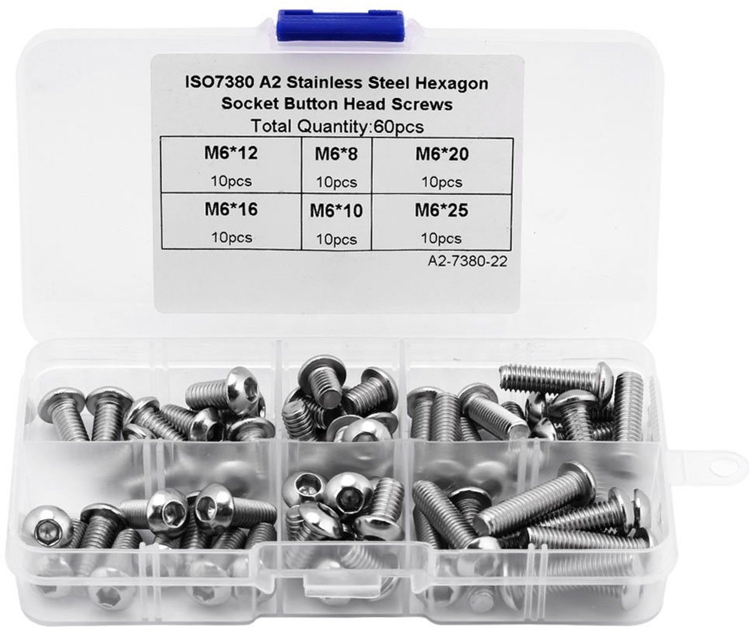 Inbusschroeven - M6 Schroeven - Roestvrij staal - 60 Stuks - Bevestigingsmiddelen voor Elektronica - Plastic Doos