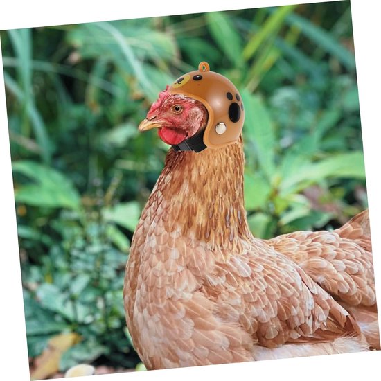 4 Stuks Hens Hoedjes Veiligheidshelmen Kippen Verstelbare Dierenaccessoires Kleine Huisdieren Bescherming tegen Geschikt Papegaaien Vogels Assortiment Kleuren — afbeelding 5