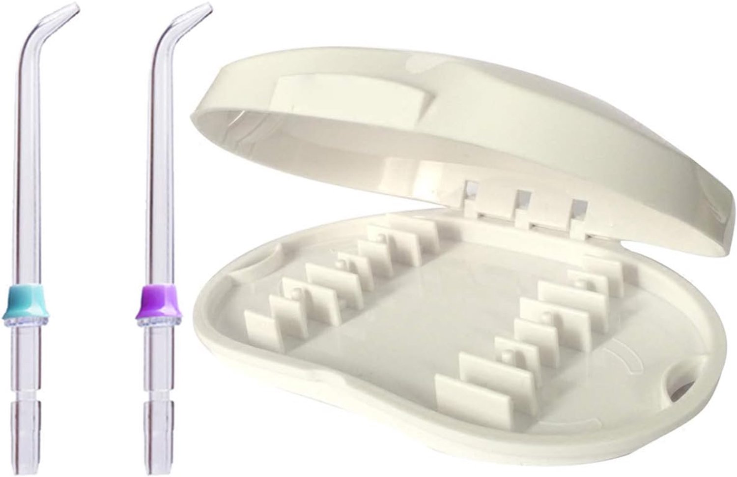 WuYan Stofdichte spuitbus voor Waterpik + 2 stuks mondhygiëne standaard tips pak voor wp-100 wp-450 wp-250 wp-300 wp-660 wp-900