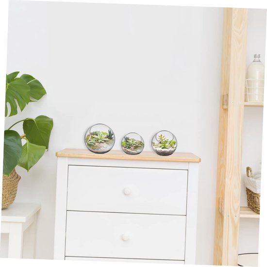 6 Stuks Sappige Vazen Terrarium Middelpunt Middelpunten Terrarium Vazen Sappig Bolterrarium Weergave Duidelijke Ornamenten Hydrocultuur Planter Terrarium Tank Terranium Glas — afbeelding 3