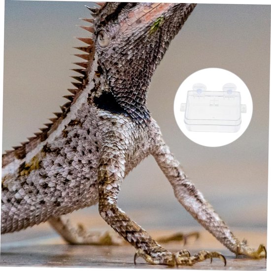 Reptiel Waterbak met Zuignappen Transparante Voedingskom Chameleons Multifunctionele Lizard Tank Ontsnapbestendig Ontwerp Huisdieren — afbeelding 3