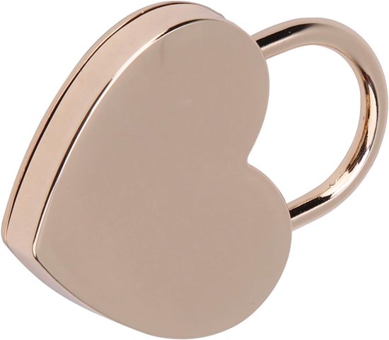 Vintage hangslot-set met sleutel, duurzame metalen knutselaccessoires voor sieradendoosje en bagage, zilver, 1 set (roségoud) — afbeelding 5