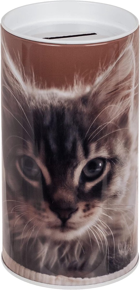 Spaarpot voor kinderen, puppy's, honden en katten. Originele spaarpot gemaakt van blik met deksel. spaarpot voor kinderen. Kan ook worden gebruikt als pendoos. (Grijze katjes)