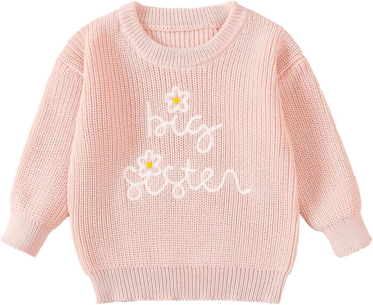 Baby meisjes trui grote zus kleine zus lange mouwen pullover sweatshirts outfits zuigeling winter outfits