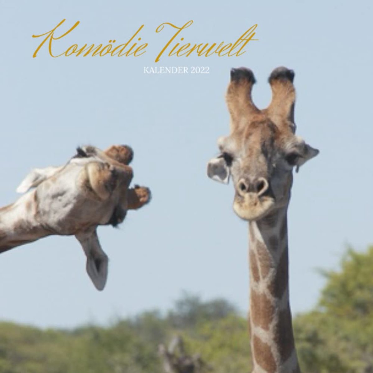 Wandkalender 2022 - 8.5x8.5 inches - Komische dieren - Perfect cadeau voor dierenliefhebbers - SnelShoppen