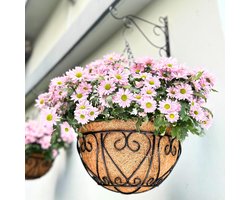 NOVIIML Ging Plant Basket, Pack of 6, 16 inches, Extra Large Coconut Fibre Hanging Flower Pot Black Metal Wire Round - ShopVlot