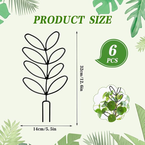 Set van 6 plantsteunen voor klimplanten zoals Monstera en Hoya in de tuin - ideaal voor ondersteuning en groei — afbeelding 5