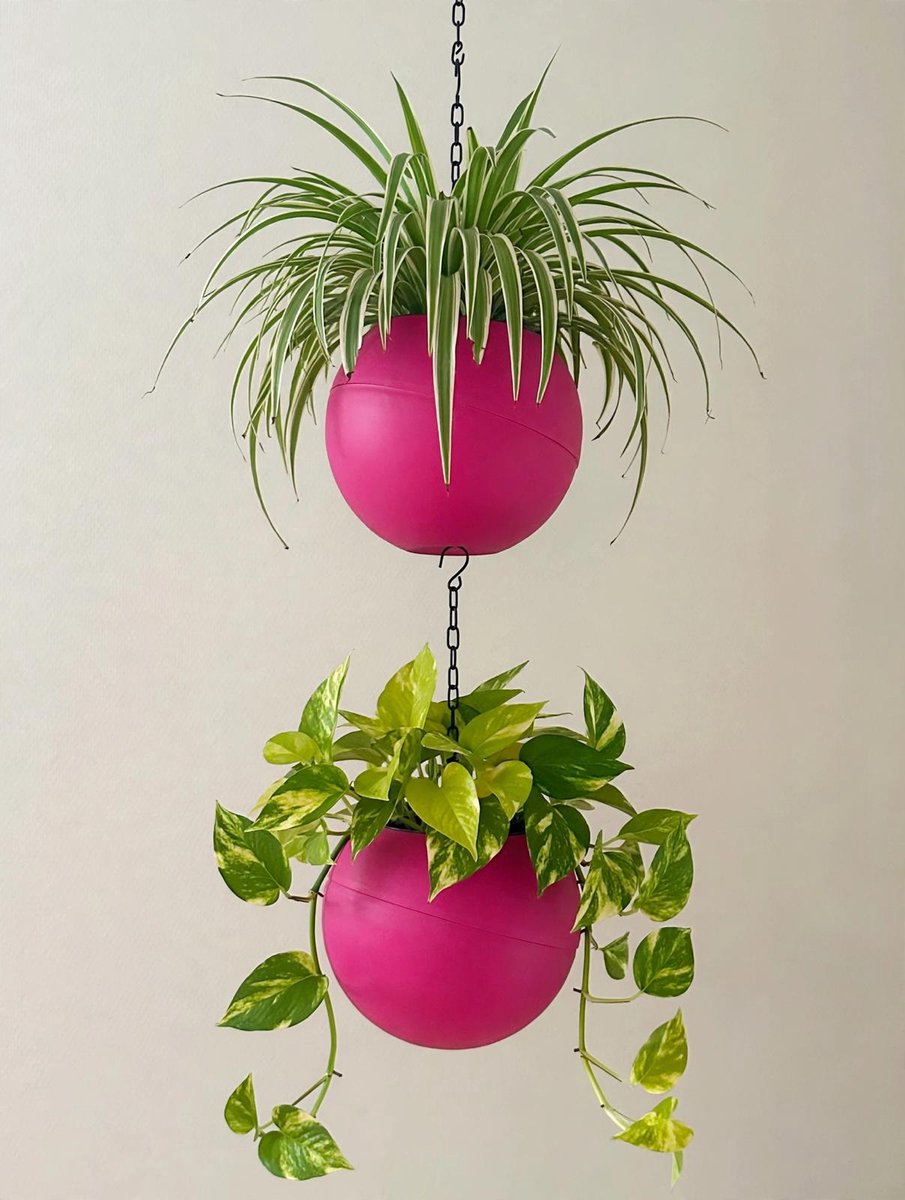 Globee Bloempot pink