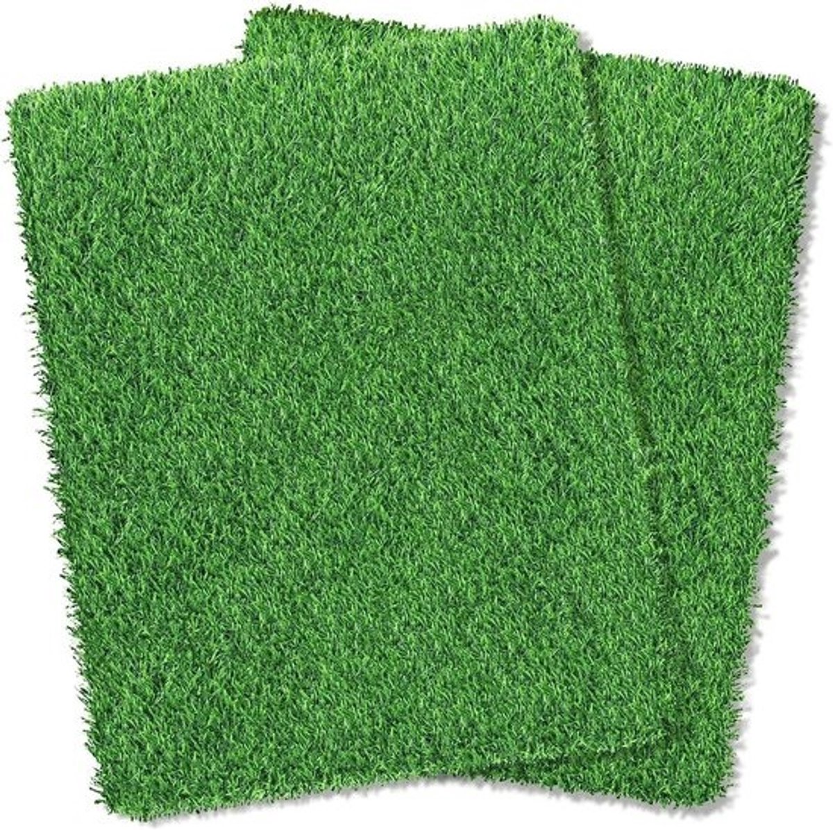 Kunstgrastapijt - Hondentapijt - Voor huisdiertraining - Sneldrogend - drainage - 50 x 65 cm - Groen