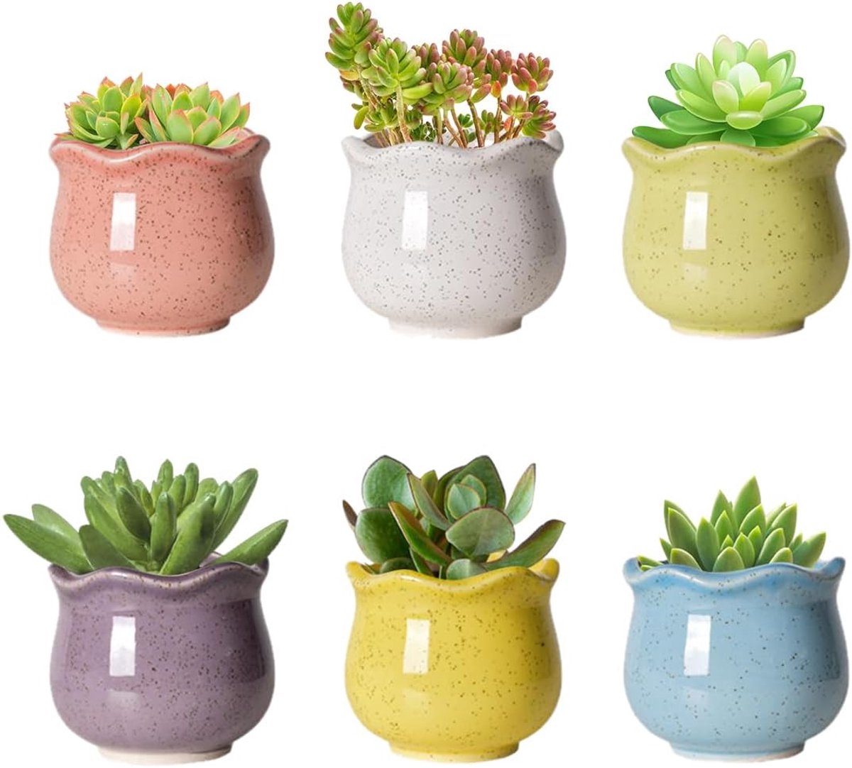 6pcs Small Ceramic Plant Pot 6.5cm Succulents Pot with Drainage Hole Indoor Plant Pots Perfect for Home Office - ShopVlot