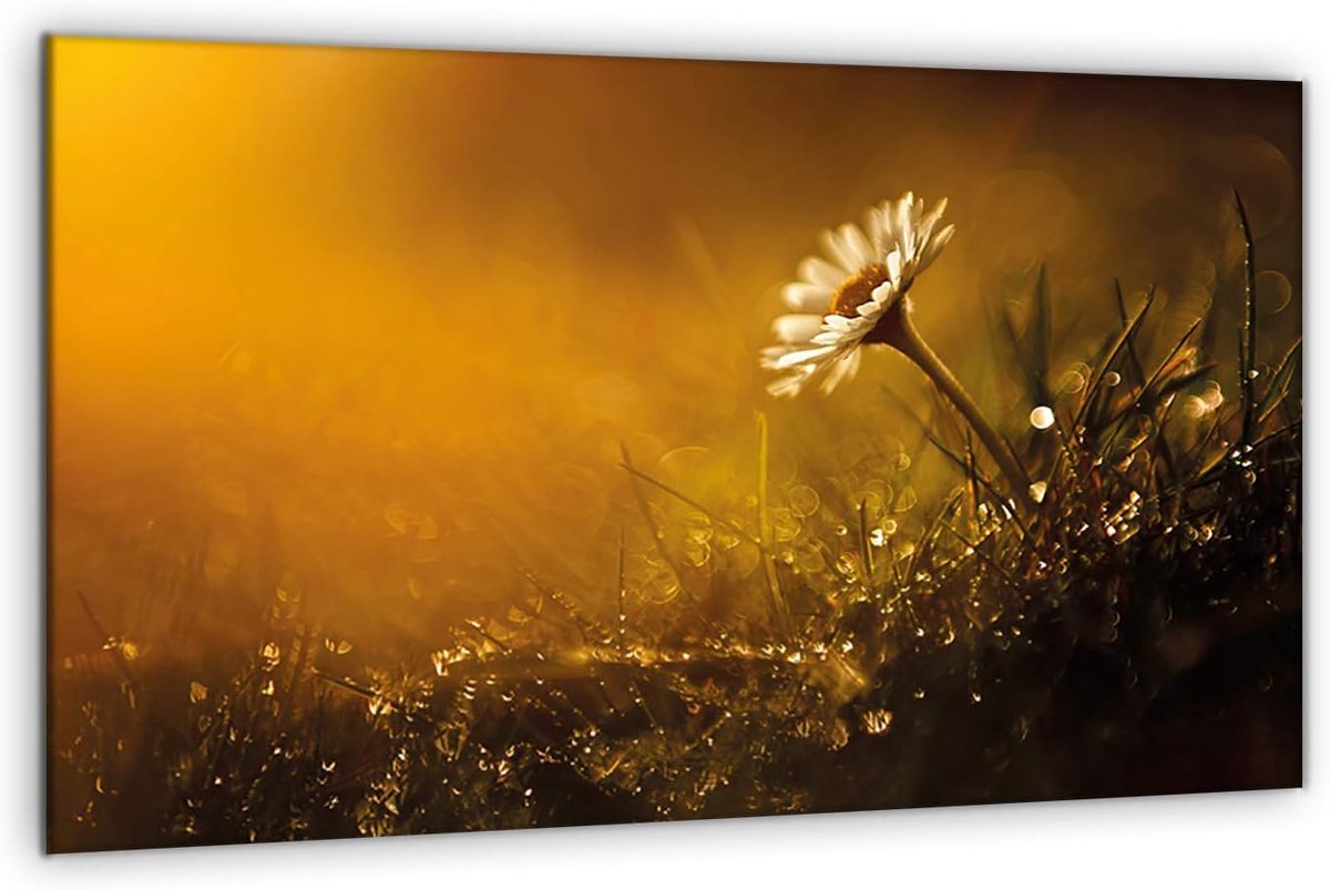 Elektrische inductiekookplaat Protector Cover Panel 80 x 52 cm | Gehard glas Grote Snijplank | Keuken Muur Splash-Back | Fornuis Protector | Spoelbak Cover Cover