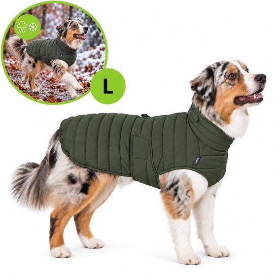 Australische herder in een olijfgroene pufferjas, met inzet van rennende hond in de herfst. Maat L.