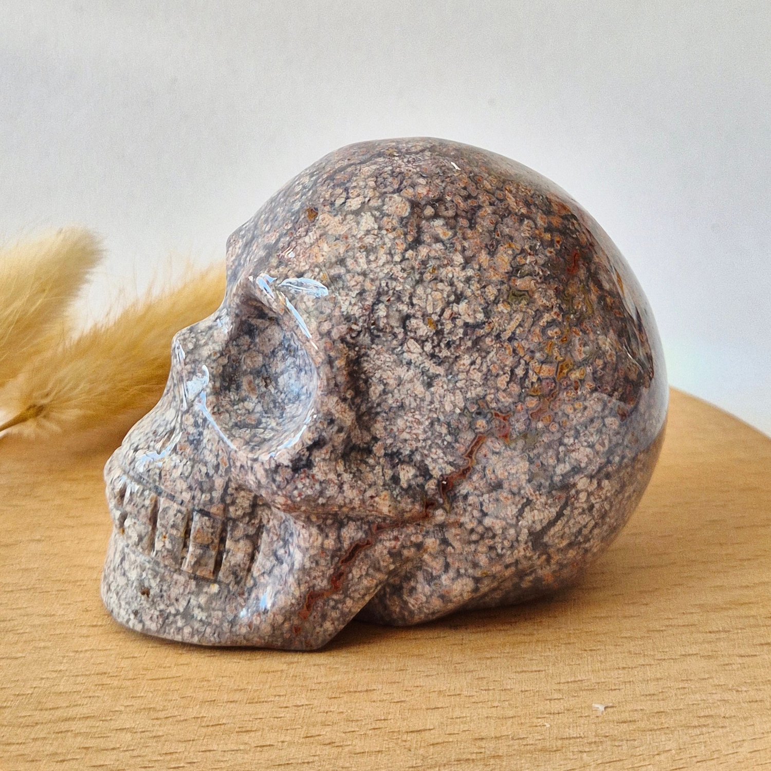 Moonlight Gemstones XL Ocean Jasper Skull 330g – 8-9 cm Edelsteen Schedel Meerkleurig