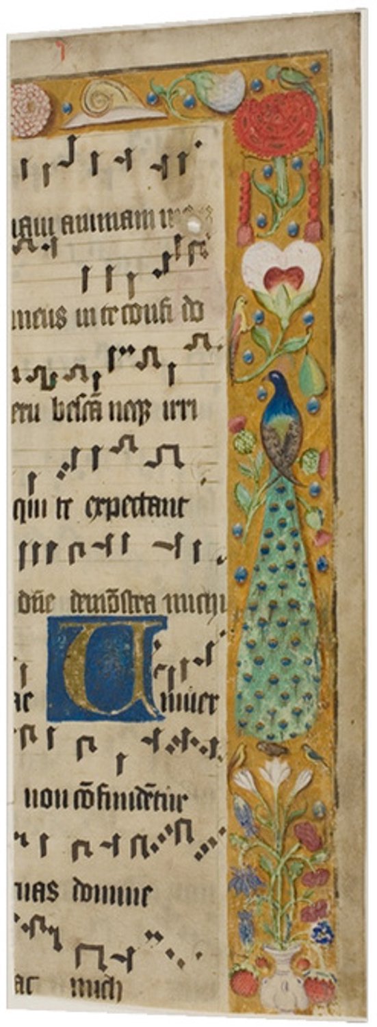 Printen.eu Poster - Peacock, Birds, Flowers, Fruit and a Snail in a Decorated Border, with an Illuminated Initial "U" from a Choir Book - 18.3 x 47 cm Multicolor