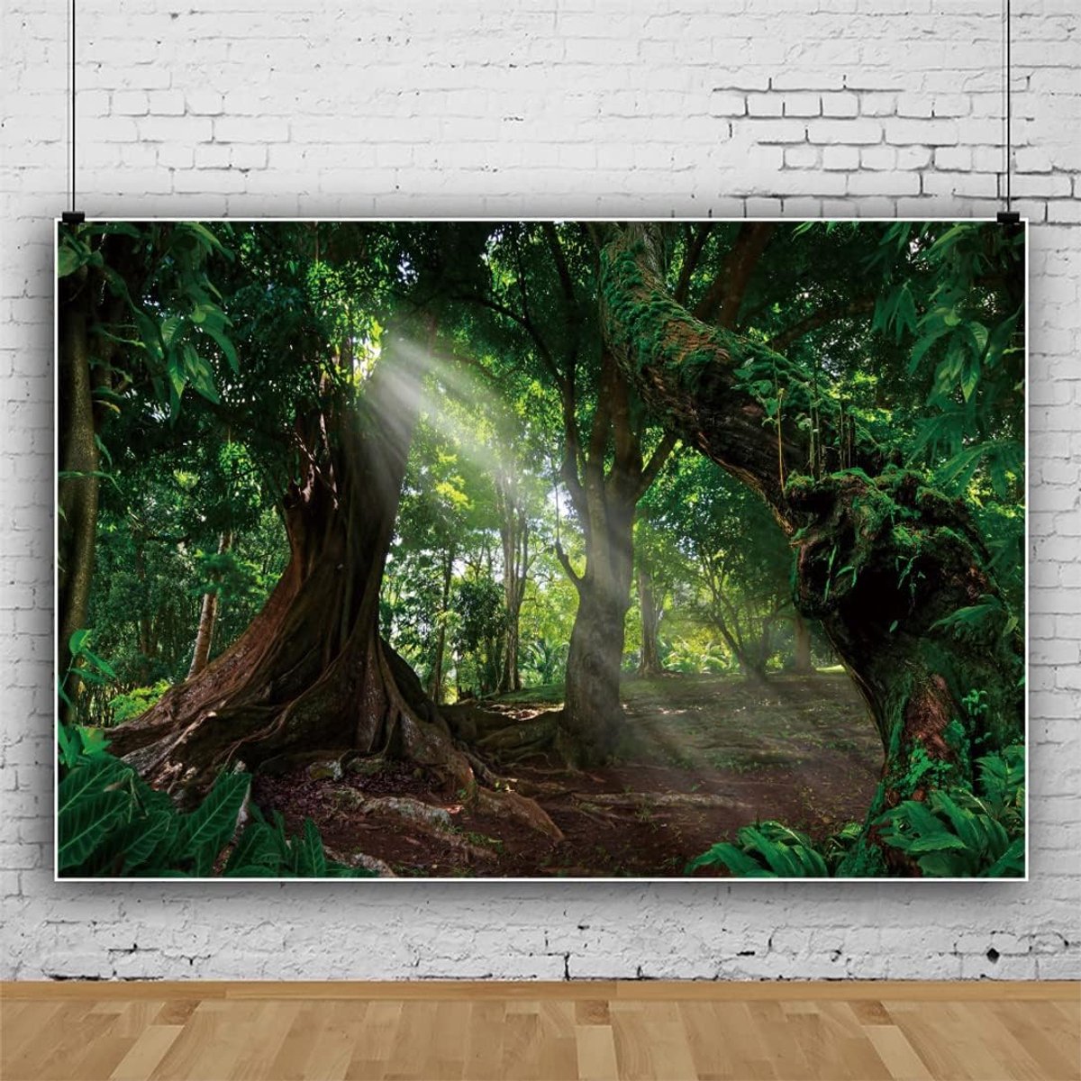 300x250cm Bossen Achtergrond - Oude Boom Vroege Ochtend Zonneschijn Tropische Regenwouden Natuurlijk Landschap Fotografie Rekwisieten