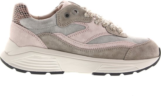 Sneaker Xsensible en suède taupe avec accents roses et gris, lacets décoratifs et détail imitation serpent sur le talon.