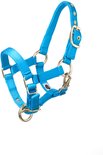 Felblauw halster met gouden gespen en ringen.