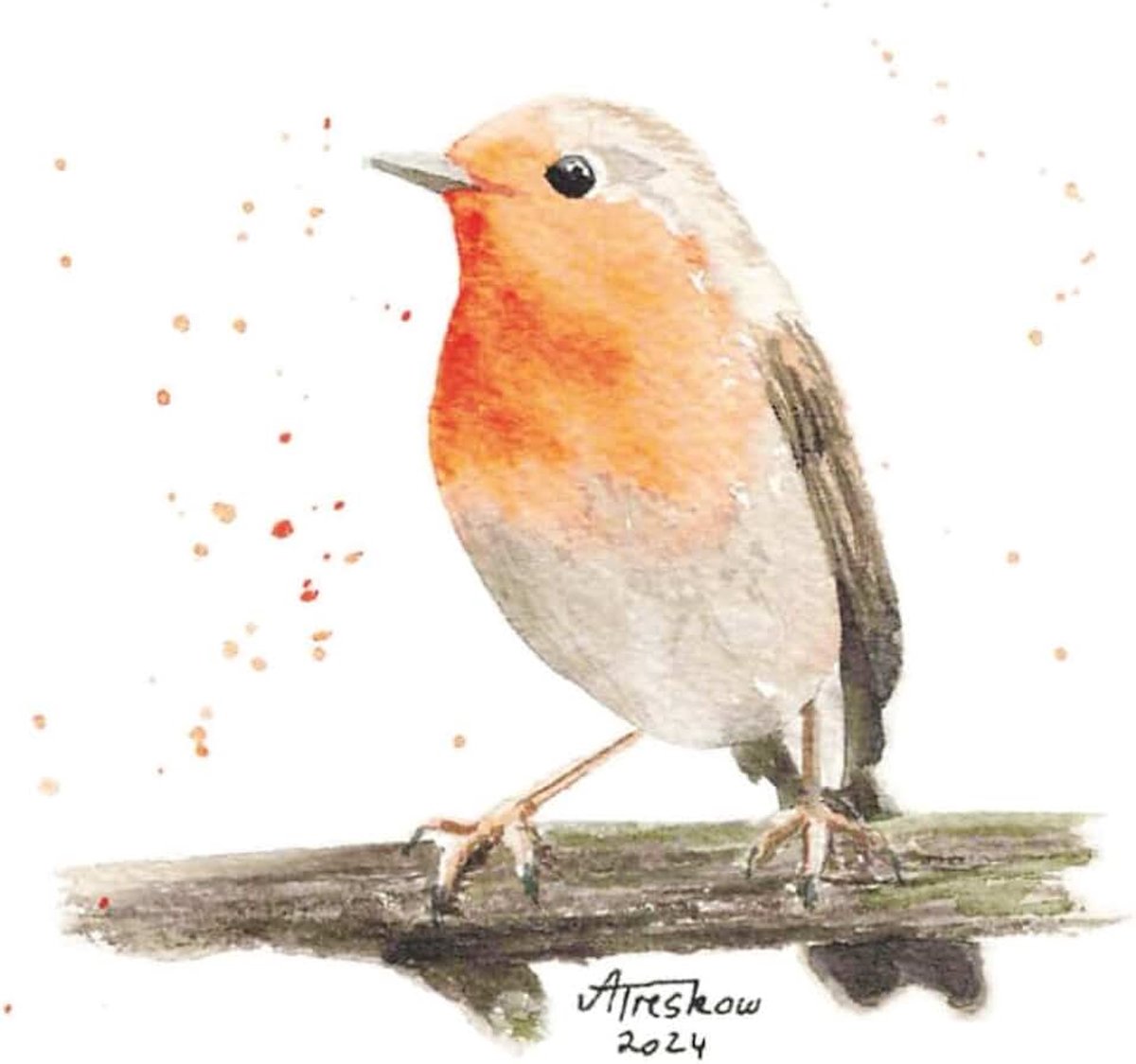 | Notizbuch | Tagebuch Rotkehlchen: 100 leere Seiten zum Gestalten 17x24cm