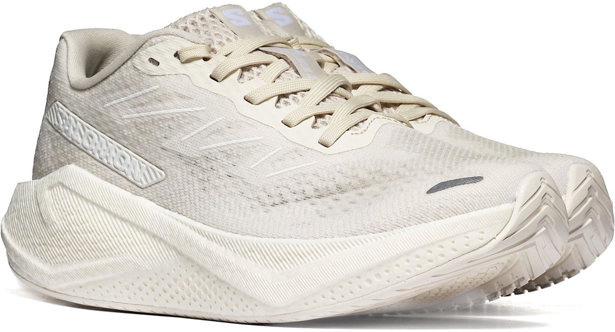 Sportieve Salomon AERO BLAZE 3 W Dames Beige
