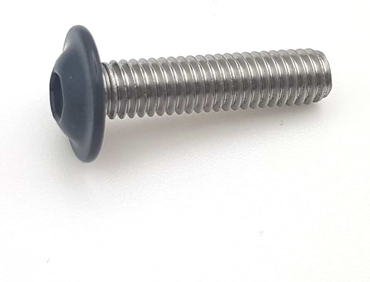 Schroeven M4x12 mm RAL 7016 antracietgrijs lenskop binnenzeskant met sokkel roestvrij staal A2 pro 100