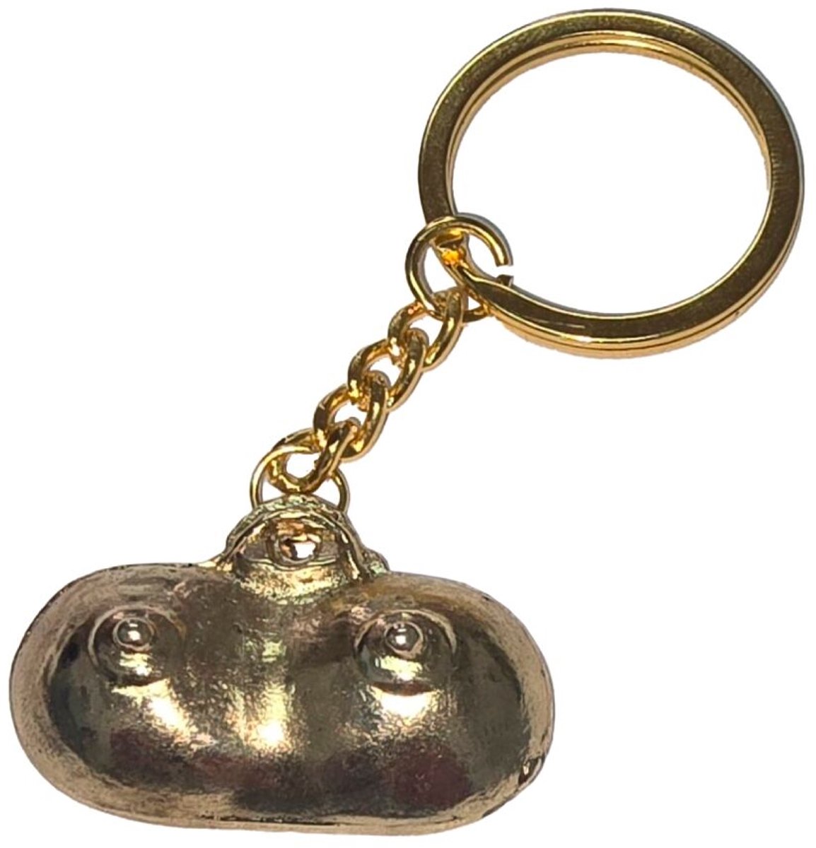 Gouden Sleutelhanger in de Vorm van Borsten