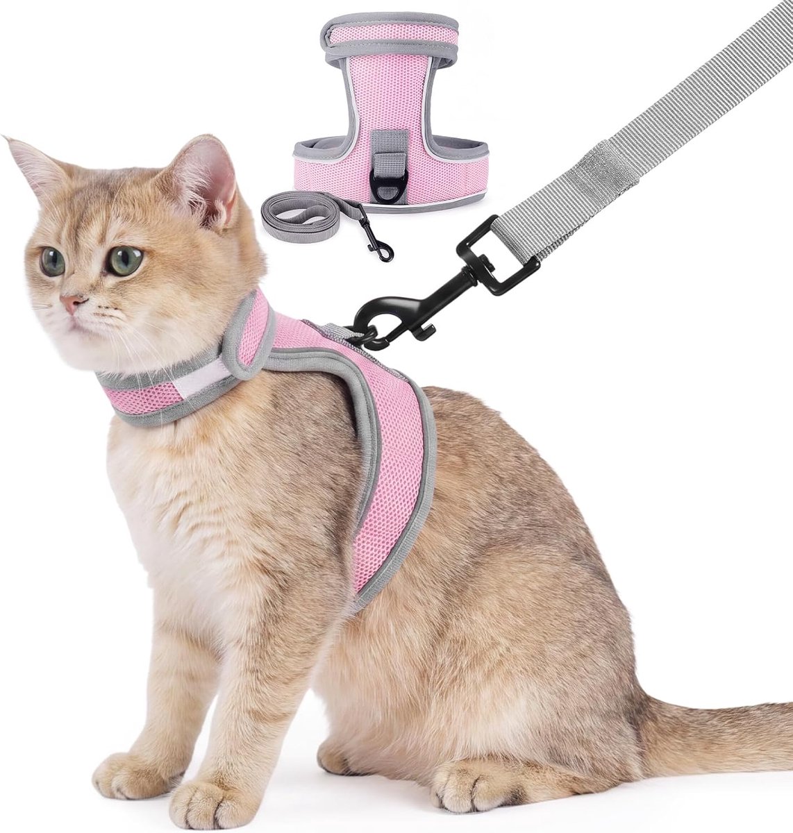 Set met kattenharnas en riem, verstelbaar ademend gaasvest om te wandelen