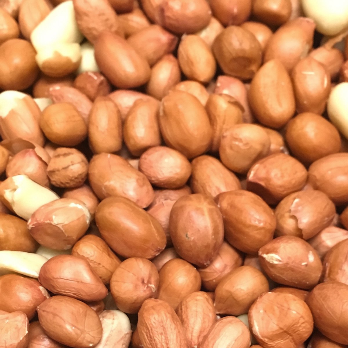 Topdiervoeding Gepelde Pinda's voor Vogels - Vogelvoer - 10 kg