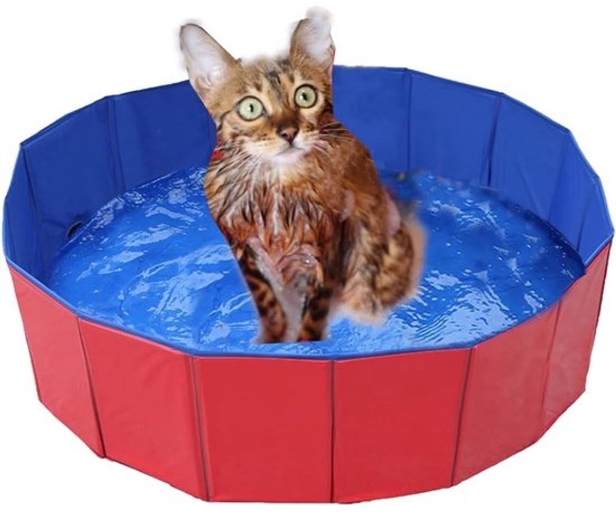 Opvouwbaar Hondenzwembad - PVC - Antislip Ondergrond - Multifunctioneel - Voor Honden en Katten