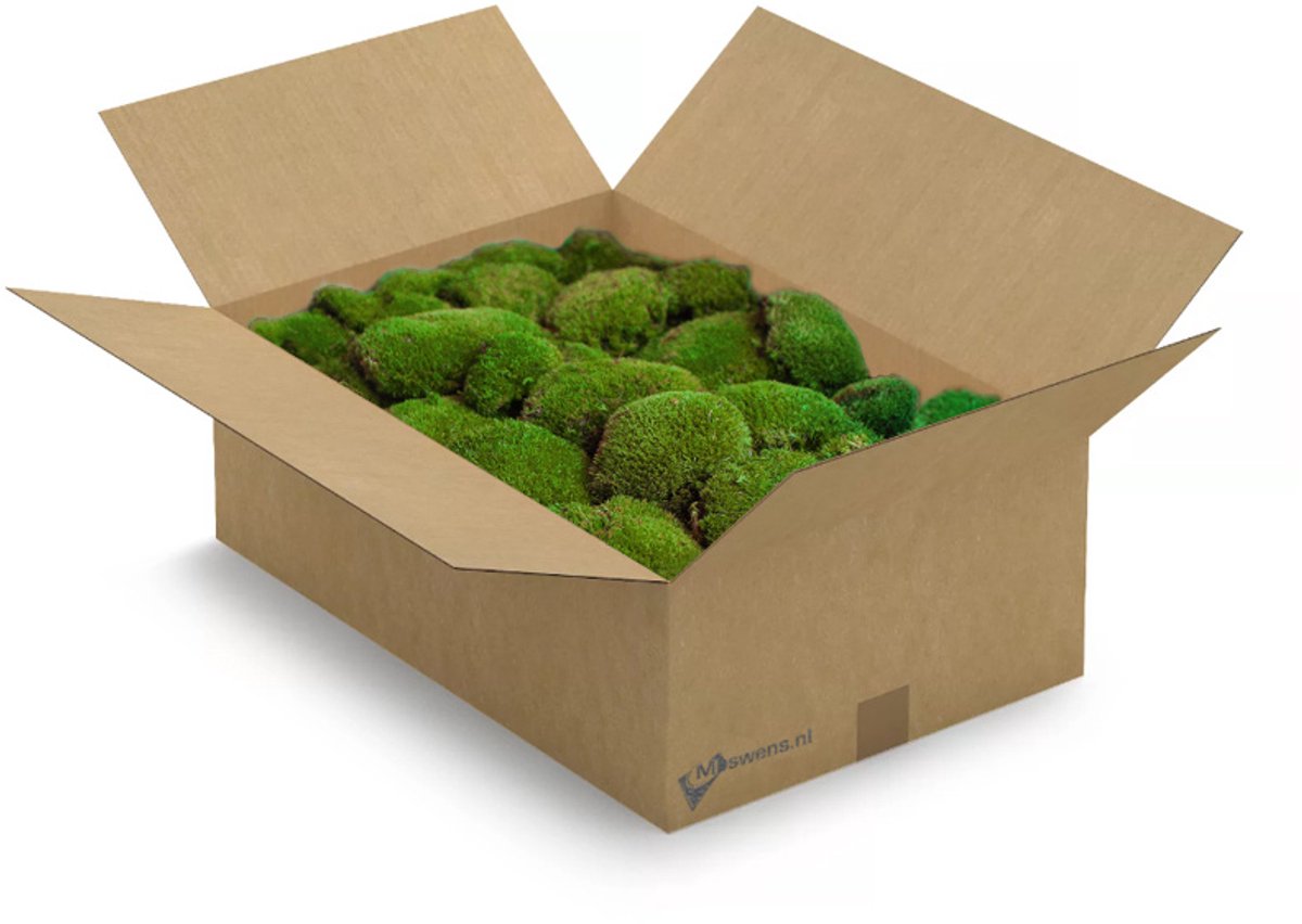 Moswens Bolmos - 1,3 KG - Doos L -icht XL 0,60 m²