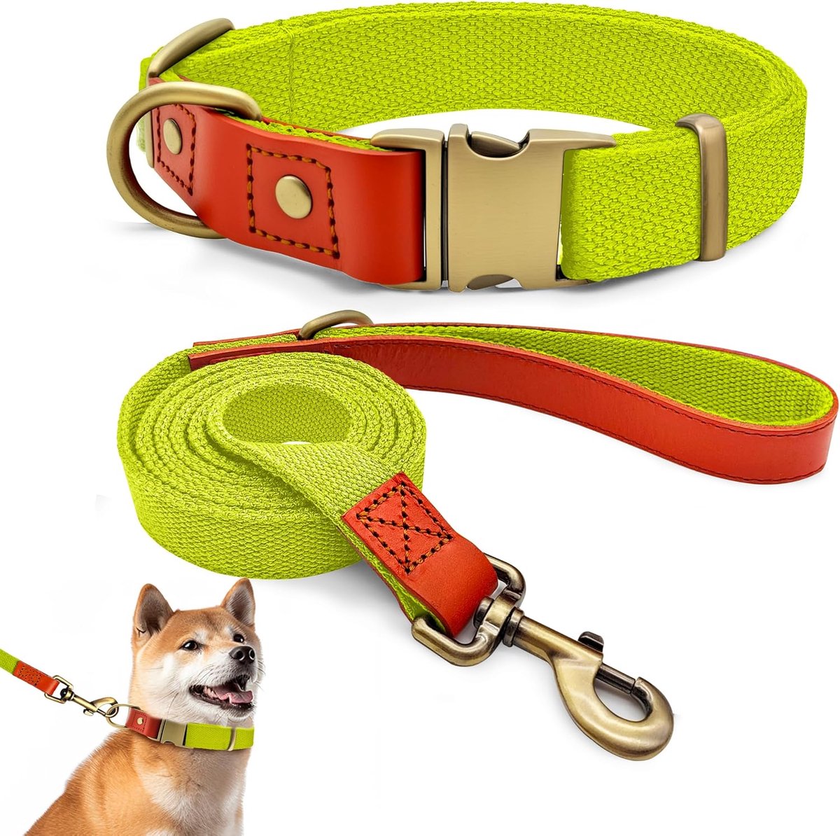 Halsband- en riemset L 38–58 cm, leer met nylon (fluorescerend geel)