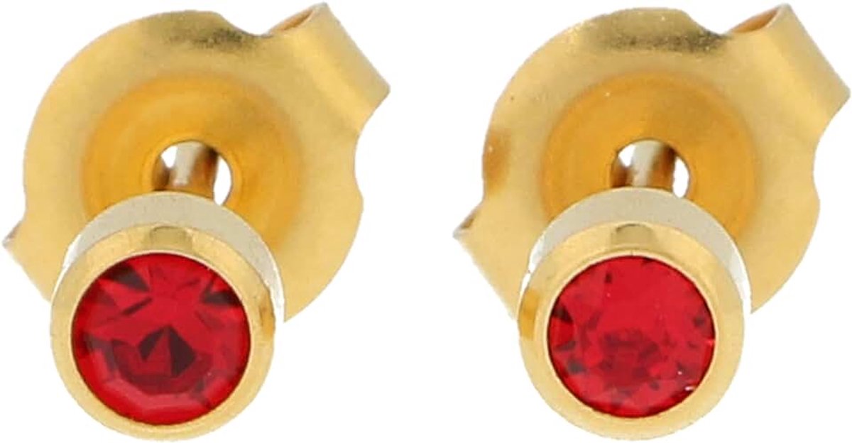 Oorstekers chirurgisch staal verguld steriele oorstekers 4 mm frame met steen