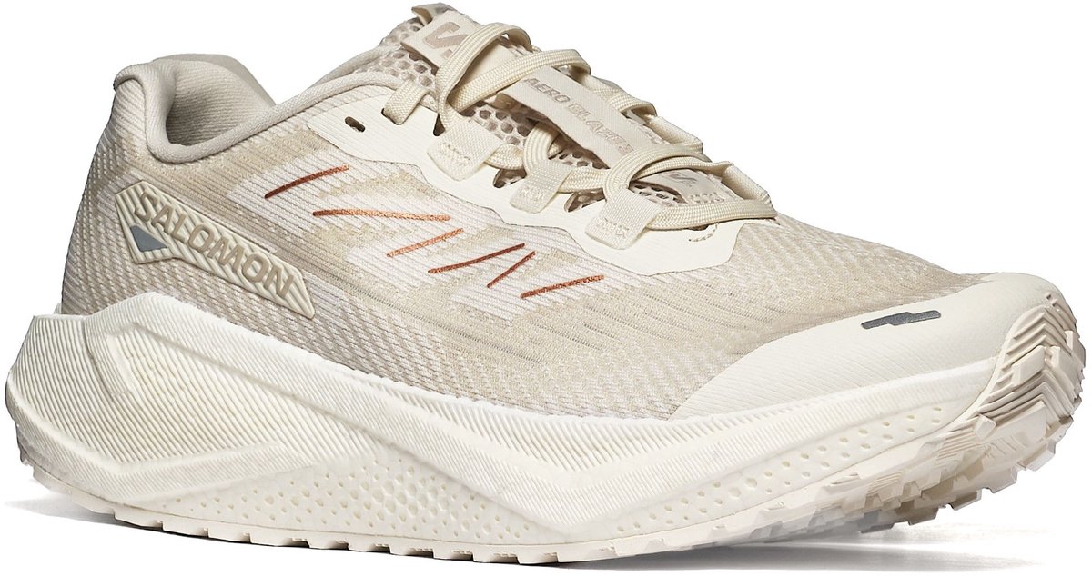 Sportieve Salomon AERO BLAZE 3 GRVL W 41 1/3 Dames